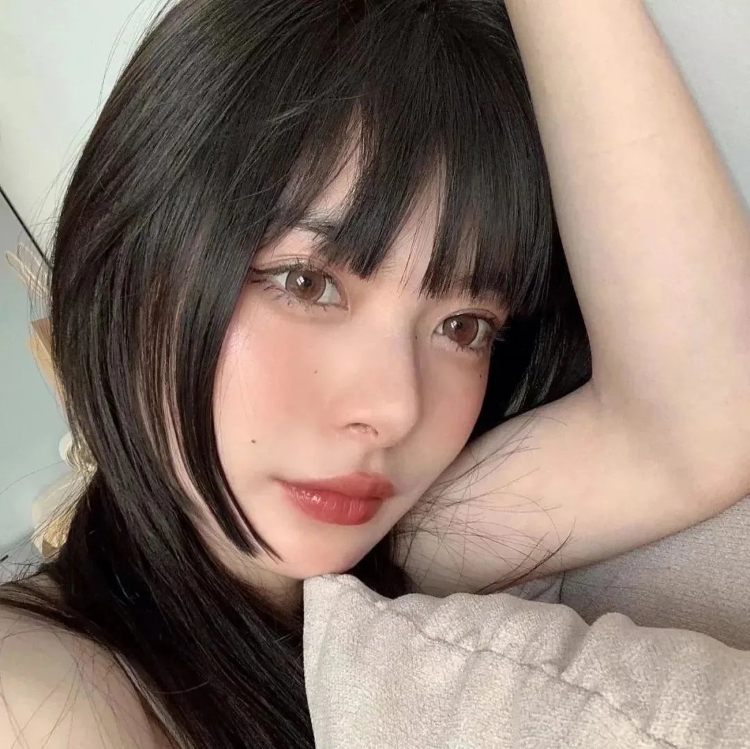 黎明的飞鸟